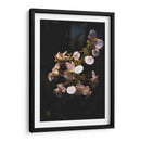 Nature in Focus II: White Flowers - Ani Coloca | Cuadro decorativo de Canvas Lab