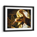 Mirada Sigilosa - Isabel Soria | Cuadro decorativo de Canvas Lab