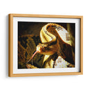 Mirada Sigilosa - Isabel Soria | Cuadro decorativo de Canvas Lab