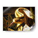 Mirada Sigilosa - Isabel Soria | Cuadro decorativo de Canvas Lab