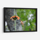 Cruzando fronteras - Isabel Soria | Cuadro decorativo de Canvas Lab