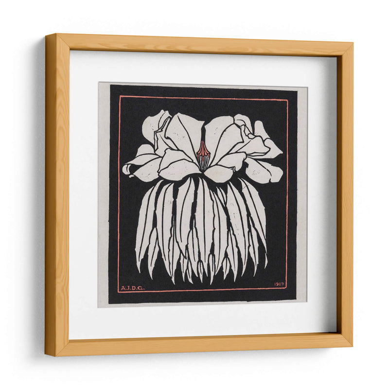 Godetia - Julie de Graag | Cuadro decorativo de Canvas Lab