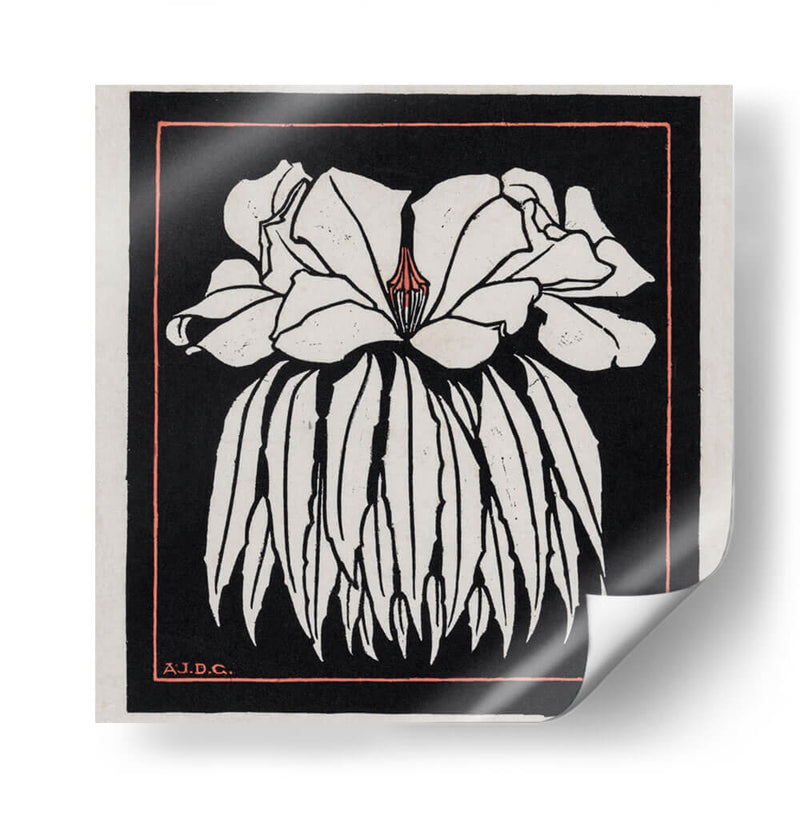 Godetia - Julie de Graag | Cuadro decorativo de Canvas Lab