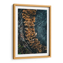 Woodland:Mushrooms on Bark - Ani Coloca | Cuadro decorativo de Canvas Lab