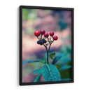 Macro Fruitscape II: Color in the Wild Forest - Ani Coloca | Cuadro decorativo de Canvas Lab