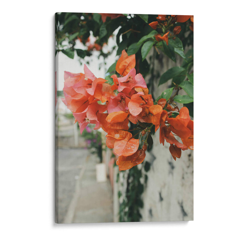 Blossoms After the Rain: Pastel Petals in Pink and Orange - Ani Coloca | Cuadro decorativo de Canvas Lab