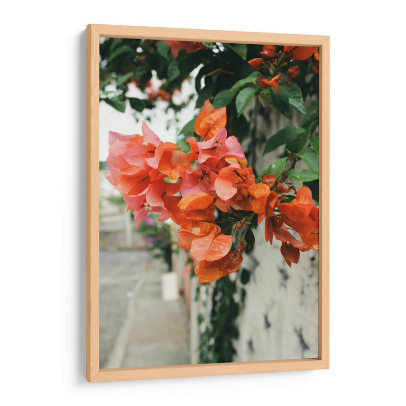 Blossoms After the Rain: Pastel Petals in Pink and Orange - Ani Coloca | Cuadro decorativo de Canvas Lab