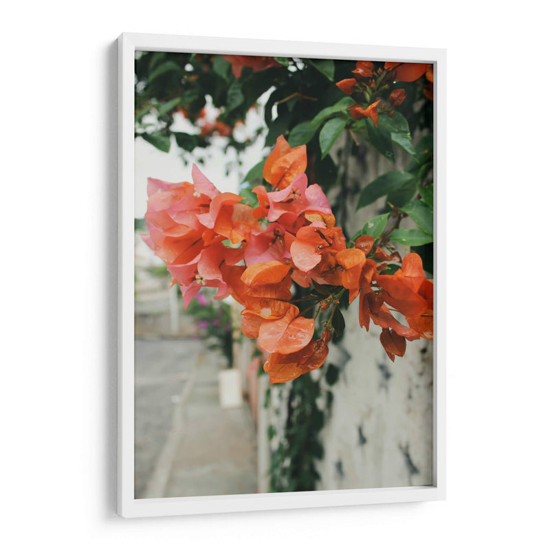 Blossoms After the Rain: Pastel Petals in Pink and Orange - Ani Coloca | Cuadro decorativo de Canvas Lab