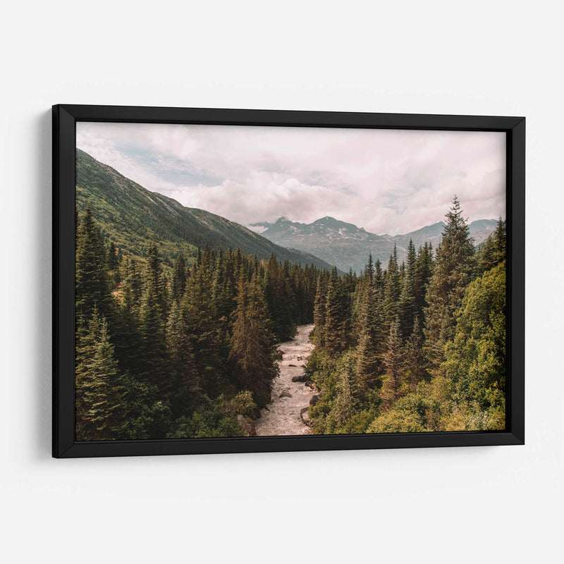 Skagway Forest - Ángel M. Huerta | Cuadro decorativo de Canvas Lab