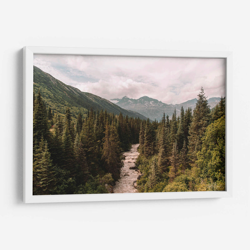 Skagway Forest - Ángel M. Huerta | Cuadro decorativo de Canvas Lab