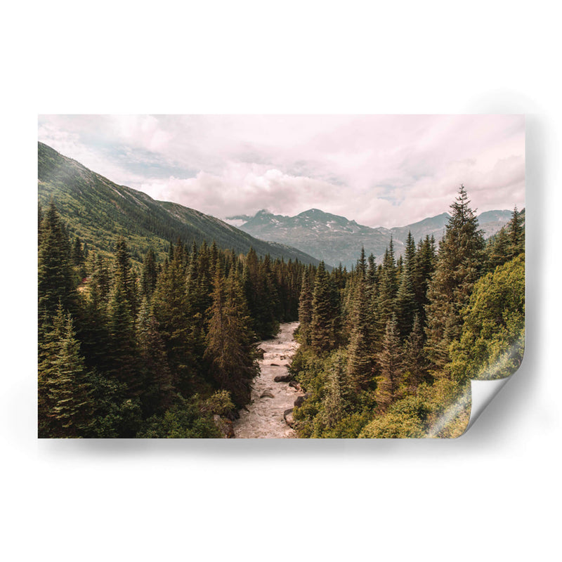 Skagway Forest - Ángel M. Huerta | Cuadro decorativo de Canvas Lab