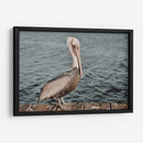 Pelícano - Ángel M. Huerta | Cuadro decorativo de Canvas Lab