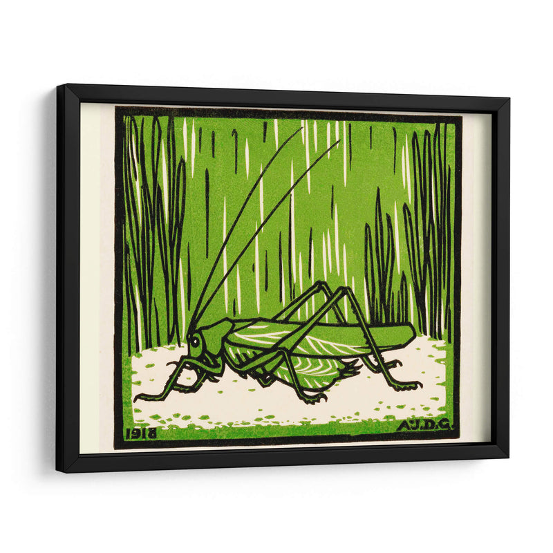 Saltamontes - II - Julie de Graag | Cuadro decorativo de Canvas Lab