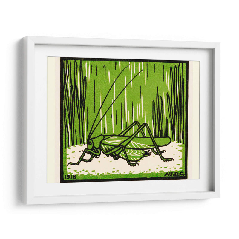 Saltamontes - II - Julie de Graag | Cuadro decorativo de Canvas Lab