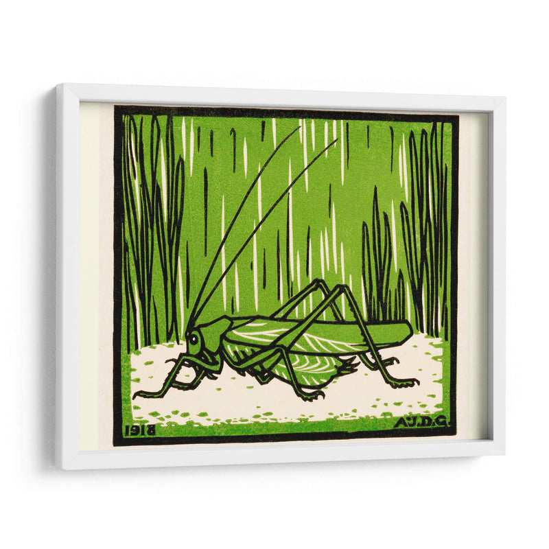 Saltamontes - II - Julie de Graag | Cuadro decorativo de Canvas Lab