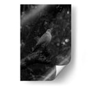 Bajo la lluvia - De la Rosa | Cuadro decorativo de Canvas Lab