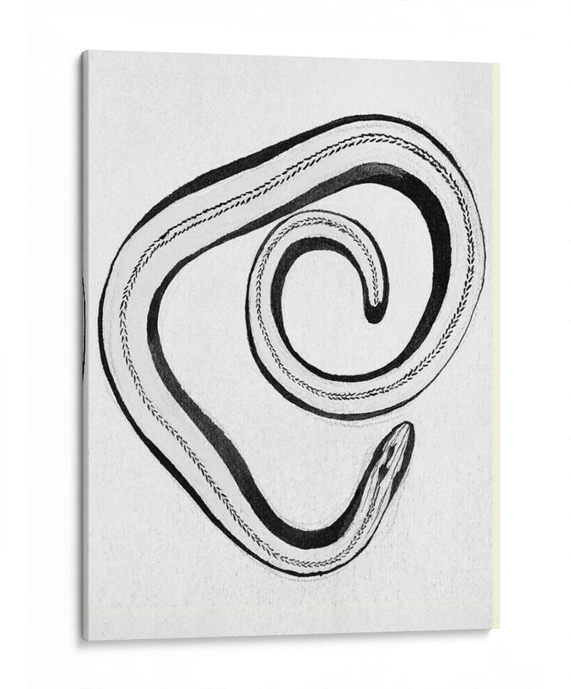 Lución - Julie de Graag | Cuadro decorativo de Canvas Lab