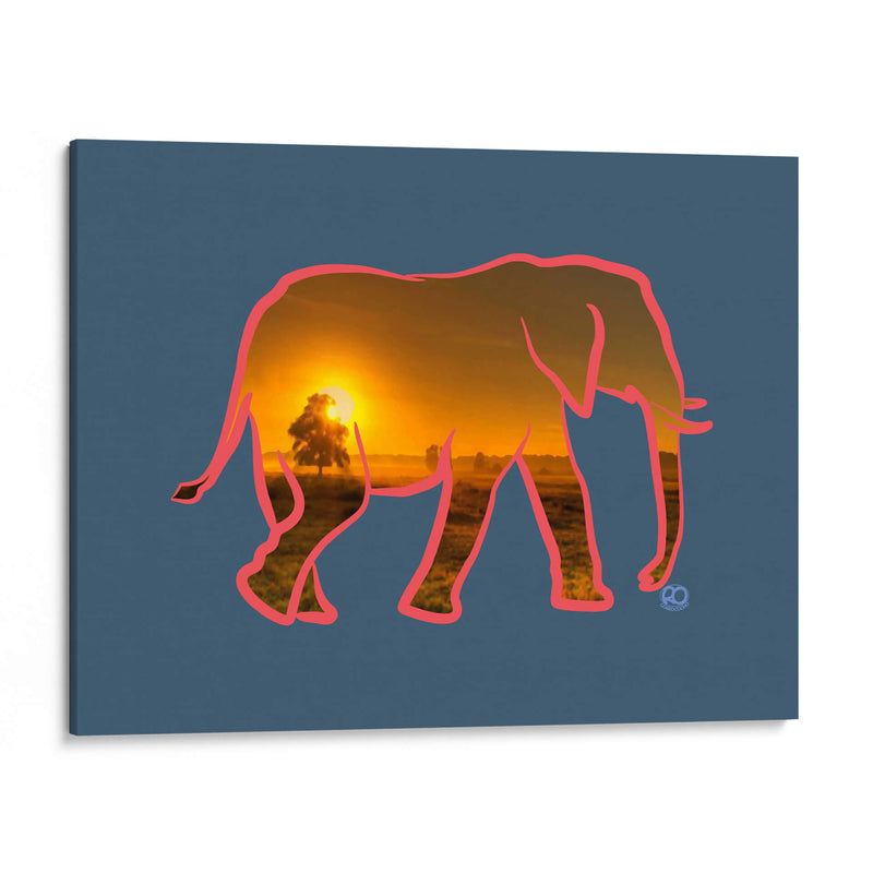 Elefante - Corrococho | Cuadro decorativo de Canvas Lab