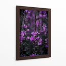 Belleza purpúrea - Claudia Luna | Cuadro decorativo de Canvas Lab