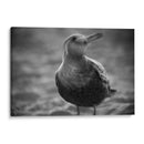 MOVIMIENTO FELIZ - Zuriel Halal | Cuadro decorativo de Canvas Lab