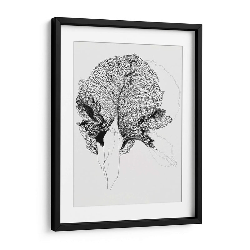 Lirio - Julie de Graag | Cuadro decorativo de Canvas Lab