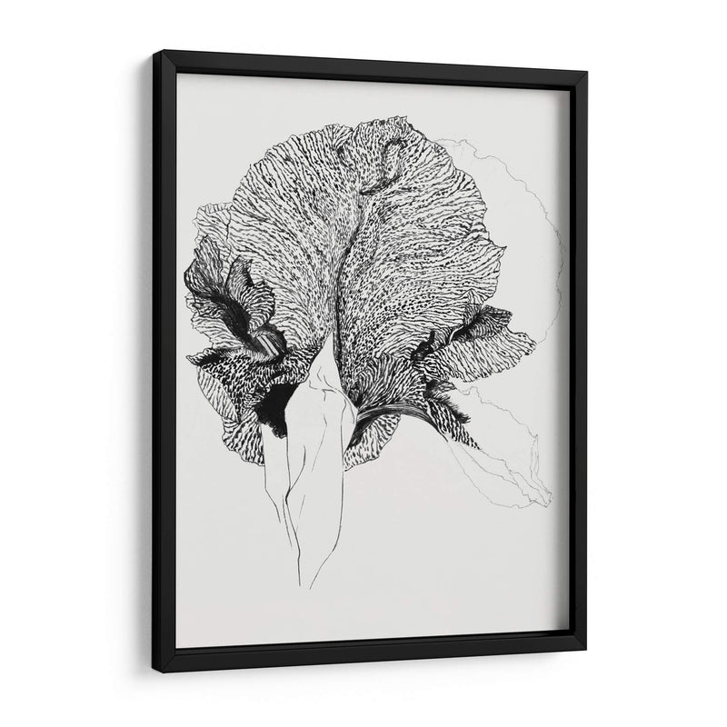 Lirio - Julie de Graag | Cuadro decorativo de Canvas Lab