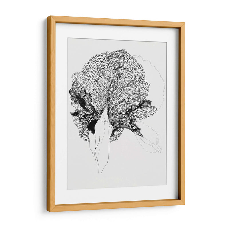 Lirio - Julie de Graag | Cuadro decorativo de Canvas Lab