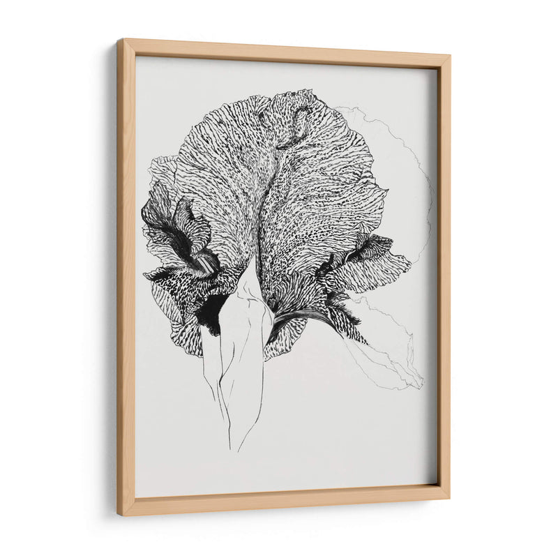 Lirio - Julie de Graag | Cuadro decorativo de Canvas Lab