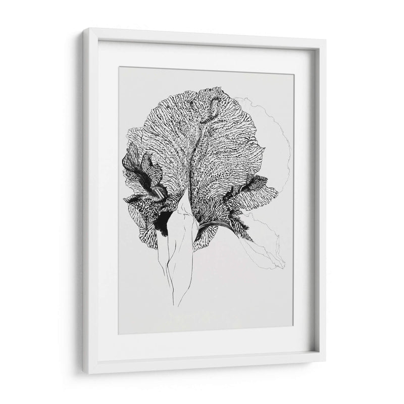 Lirio - Julie de Graag | Cuadro decorativo de Canvas Lab