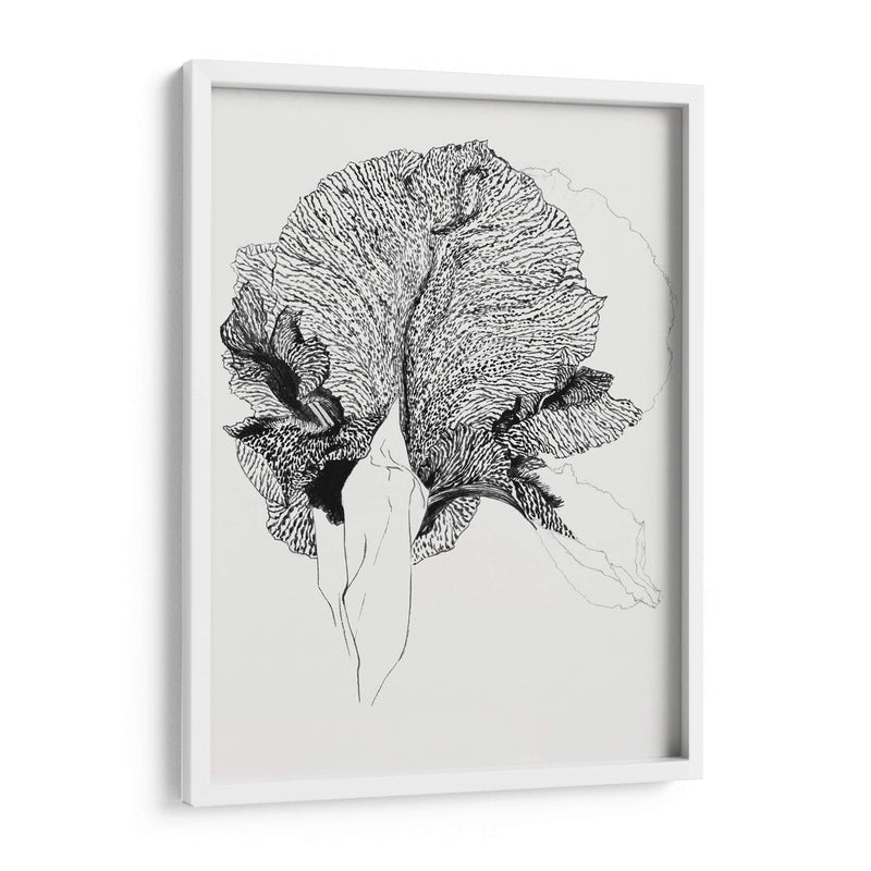 Lirio - Julie de Graag | Cuadro decorativo de Canvas Lab