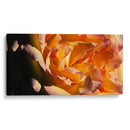 FLOR DE INVIERNO - Zuriel Halal | Cuadro decorativo de Canvas Lab