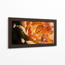 FLOR DE INVIERNO - Zuriel Halal | Cuadro decorativo de Canvas Lab