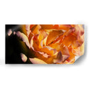 FLOR DE INVIERNO - Zuriel Halal | Cuadro decorativo de Canvas Lab