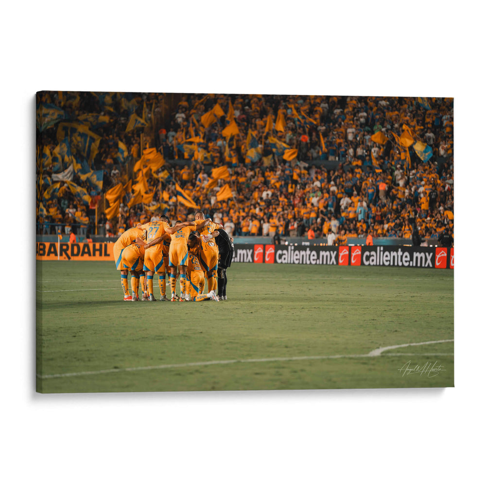 Tigres - Ángel M. Huerta | Cuadro decorativo de Canvas Lab