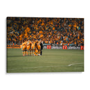 Tigres - Ángel M. Huerta | Cuadro decorativo de Canvas Lab