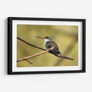 Hada Blanca - Isabel Soria | Cuadro decorativo de Canvas Lab