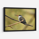 Hada Blanca - Isabel Soria | Cuadro decorativo de Canvas Lab