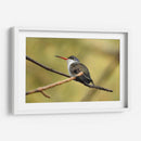 Hada Blanca - Isabel Soria | Cuadro decorativo de Canvas Lab