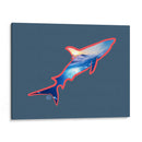 Tiburon - Corrococho | Cuadro decorativo de Canvas Lab