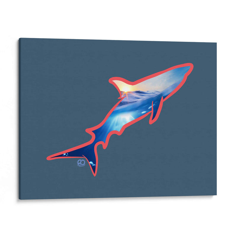 Tiburon - Corrococho | Cuadro decorativo de Canvas Lab