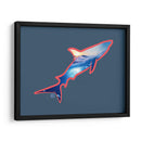 Tiburon - Corrococho | Cuadro decorativo de Canvas Lab