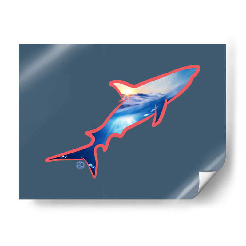 Tiburon - Corrococho | Cuadro decorativo de Canvas Lab