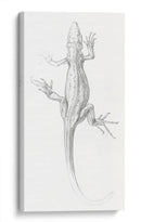 Lagartija - I - Julie de Graag | Cuadro decorativo de Canvas Lab