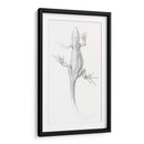 Lagartija - I - Julie de Graag | Cuadro decorativo de Canvas Lab