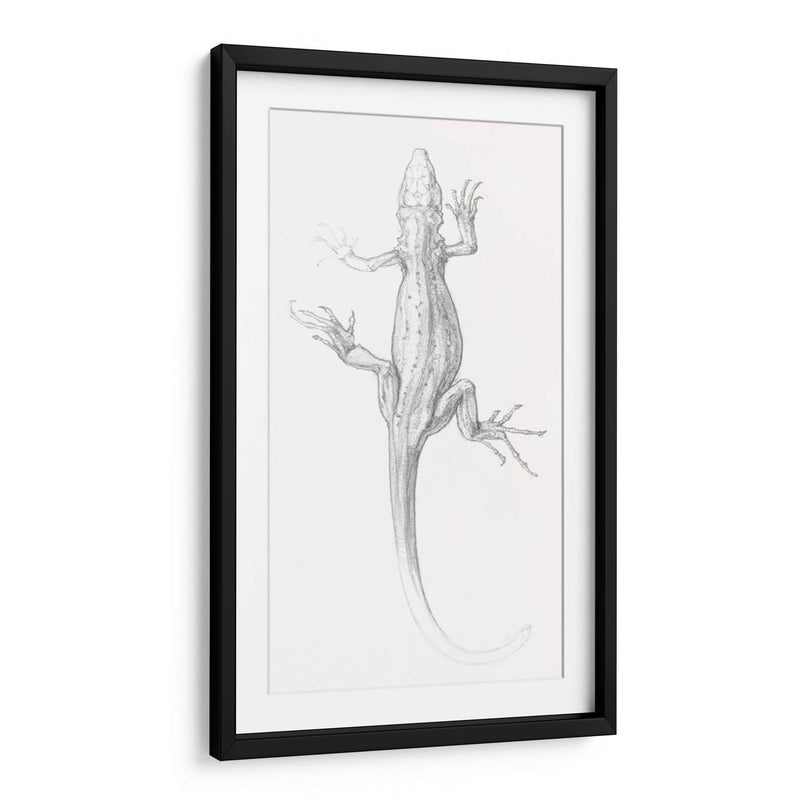 Lagartija - I - Julie de Graag | Cuadro decorativo de Canvas Lab