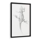 Lagartija - I - Julie de Graag | Cuadro decorativo de Canvas Lab