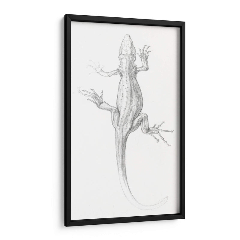 Lagartija - I - Julie de Graag | Cuadro decorativo de Canvas Lab