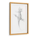 Lagartija - I - Julie de Graag | Cuadro decorativo de Canvas Lab