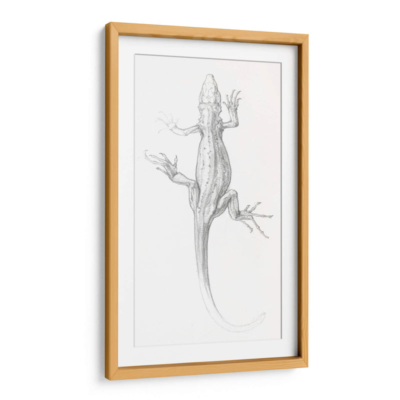 Lagartija - I - Julie de Graag | Cuadro decorativo de Canvas Lab