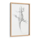 Lagartija - I - Julie de Graag | Cuadro decorativo de Canvas Lab